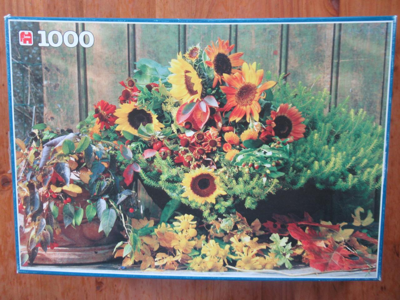 5 leuke volledige puzzels van 1000 stukjes.