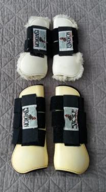 Eskadron beschermers