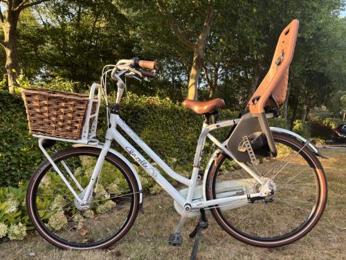 Solide Gazelle miss Grace