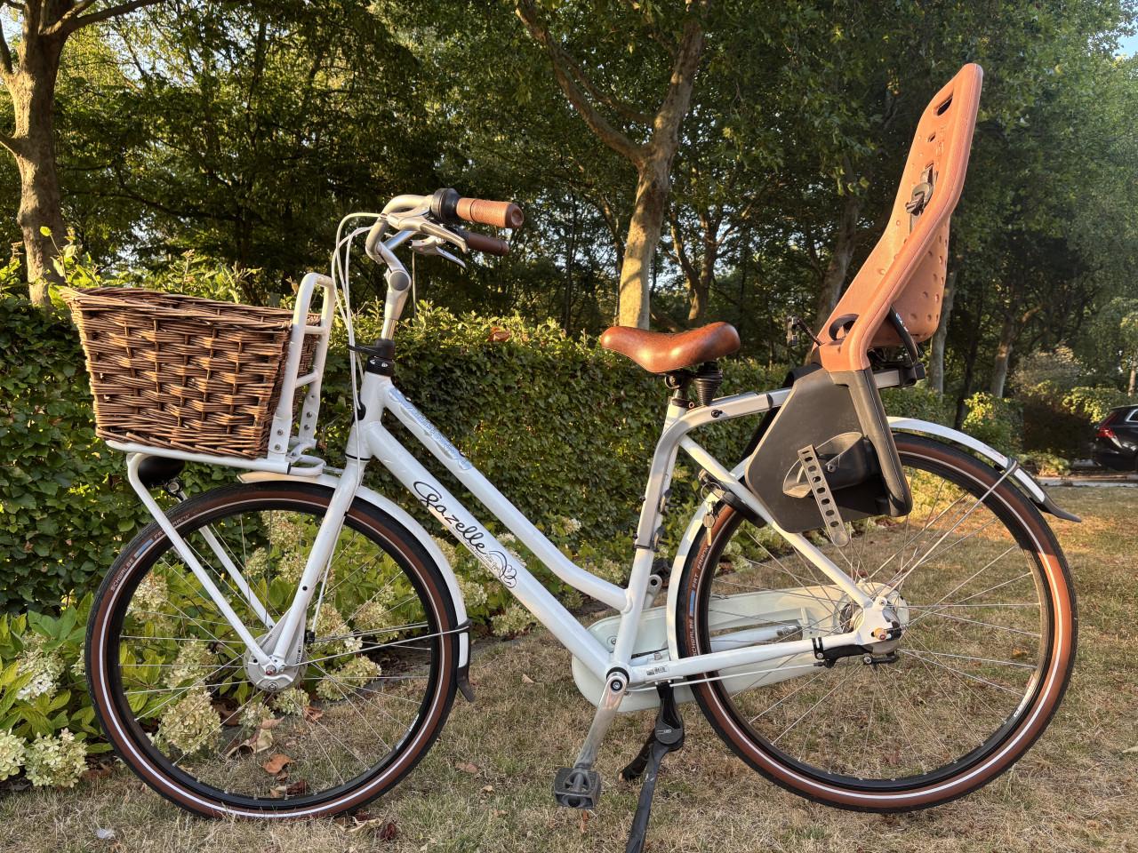 Solide Gazelle miss Grace