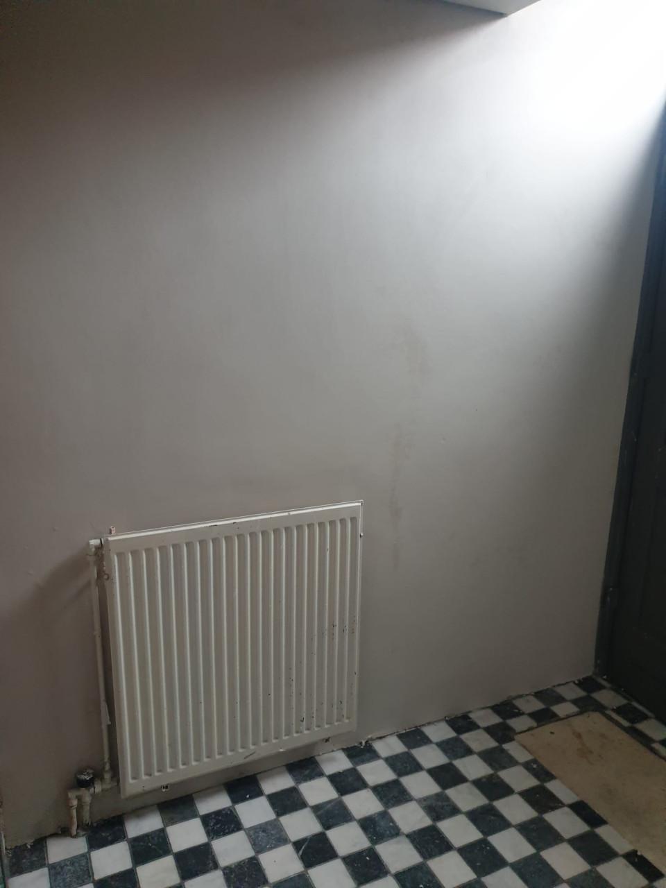 Dunpleister aanbrengen Design schilders&wandafwerking doet het!