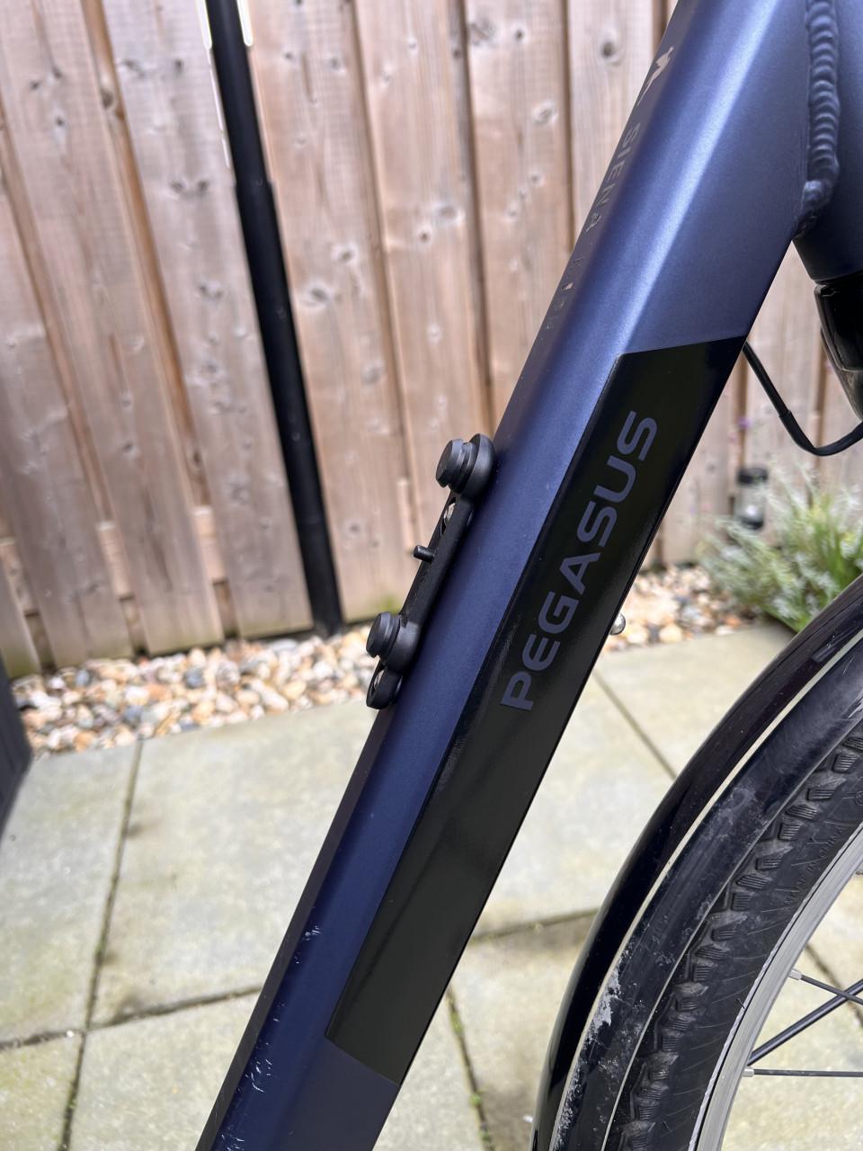 Pegasus Siena E7F Plus Belt