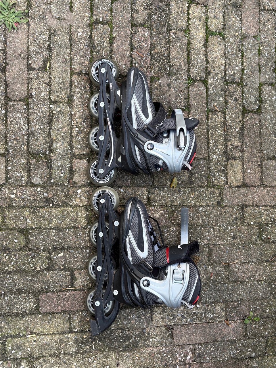 Skeelers