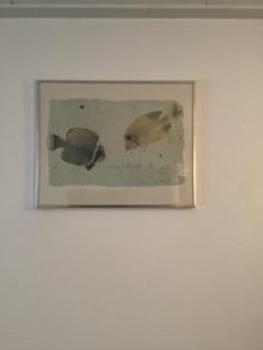 Poster met afbeelding van een vis.  Hoog: 40 cm.  Breed: 50 cm.