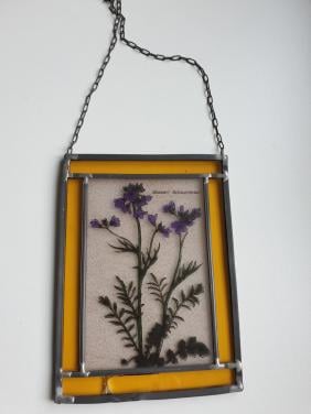 Raamhanger Wiesen Schaumkraut (Veldkers)