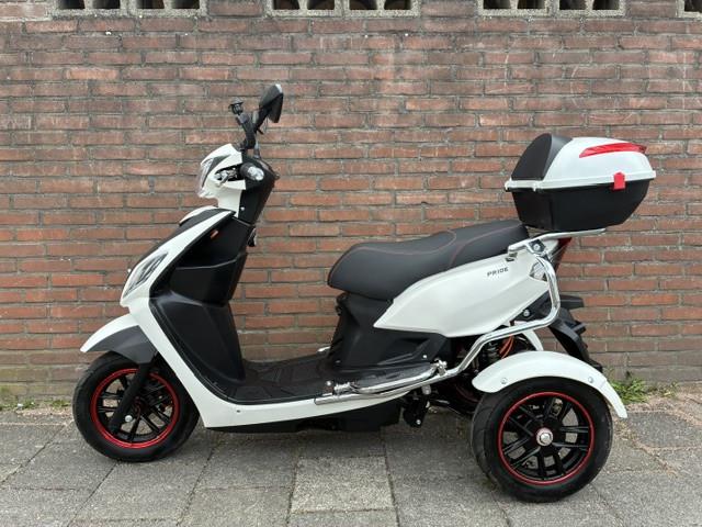 GEEN RIJBEWIJS ? NIET NODIG MET DEZE STOERE NIPPONIA PRIDE !