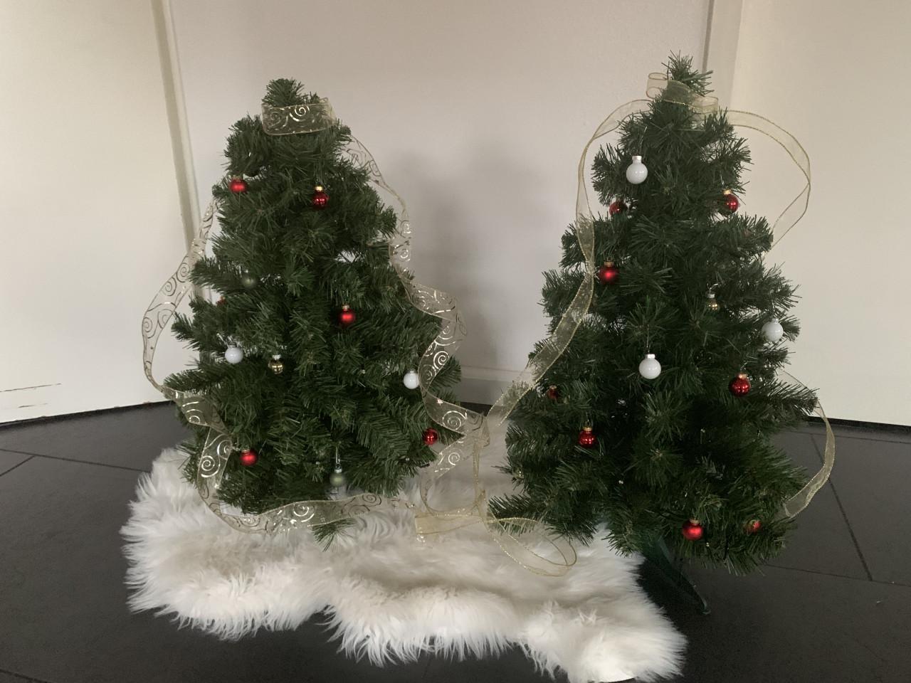 Kerstboompje 60 cm met timer verlichting