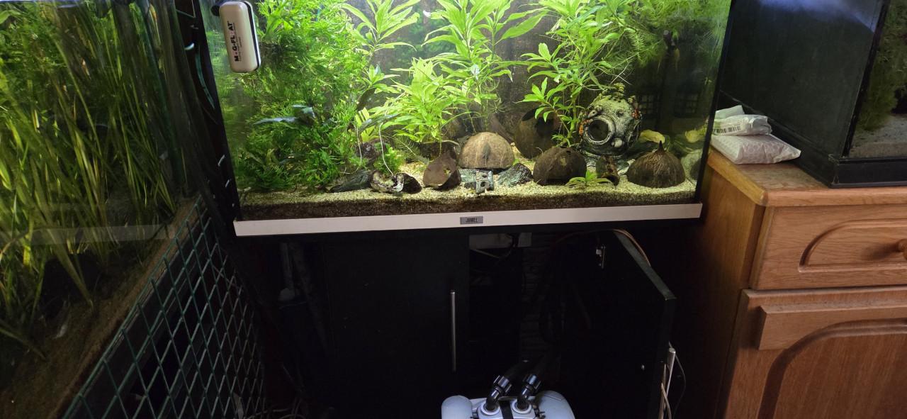 Aquarium