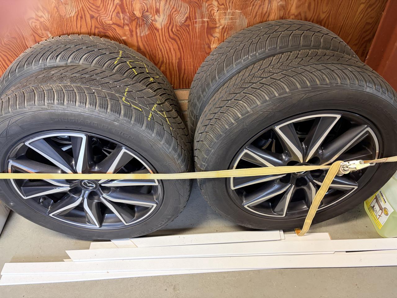 Originele Mazda CX5 19 inch velgen