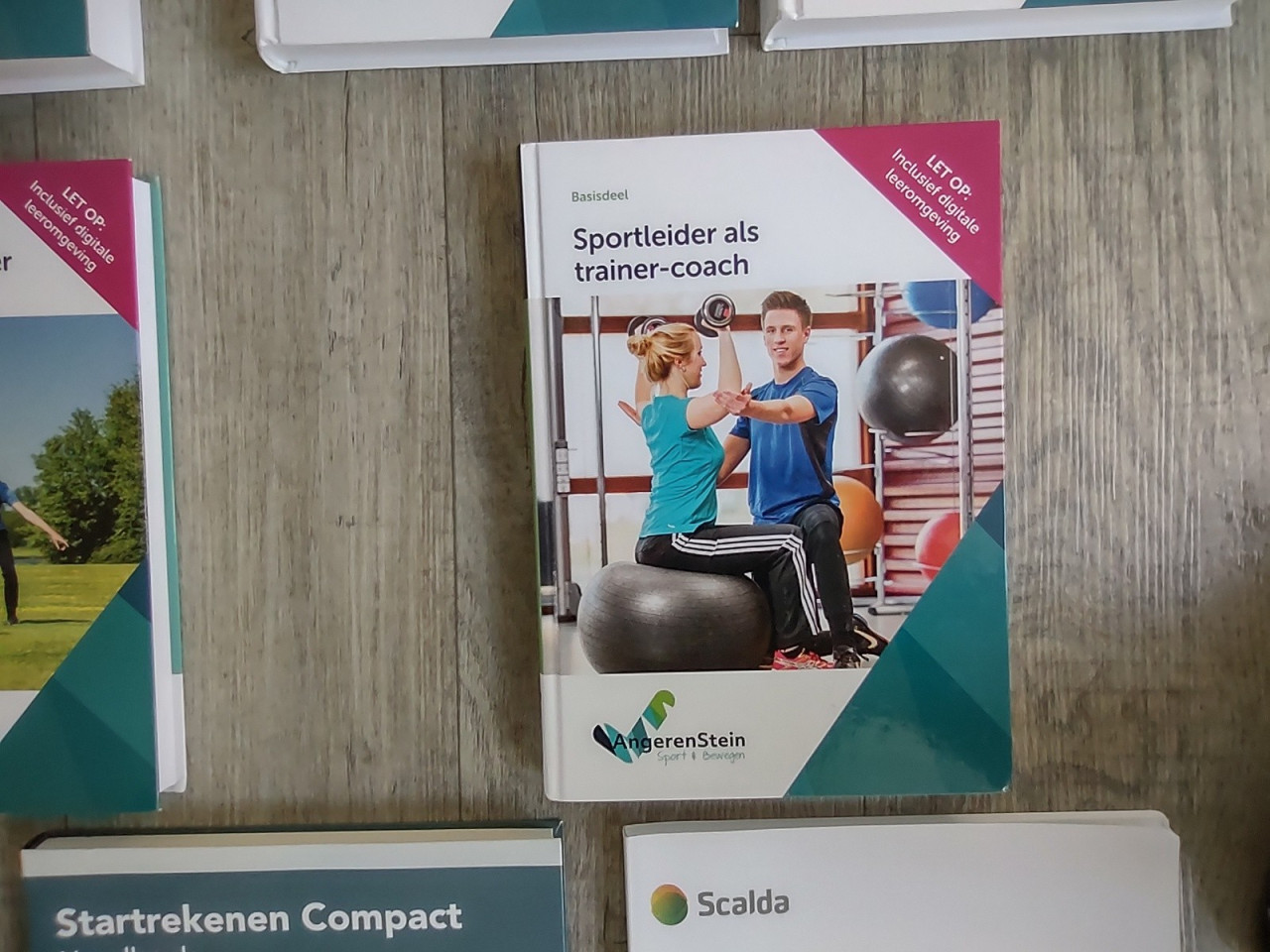 10 boeken van de Opleiding CIOS. Sport leider. Eerste 5 van Angeren Stein