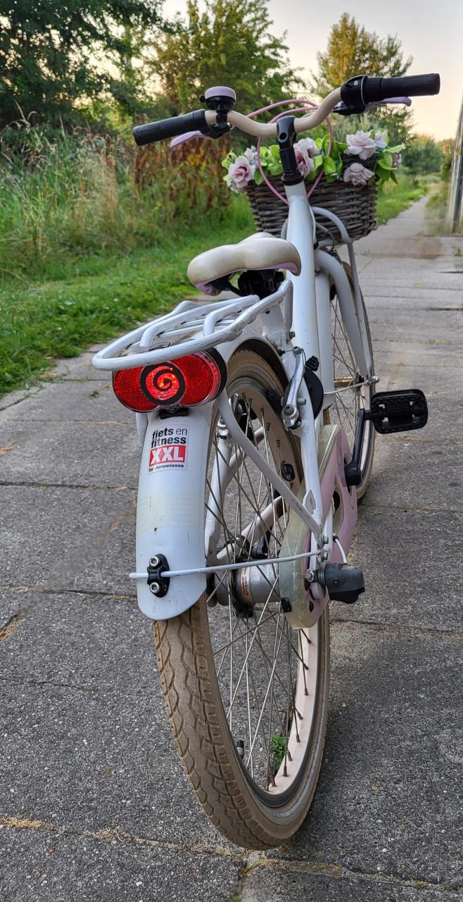 Loekie Prinses 22 inch meisjesfiets