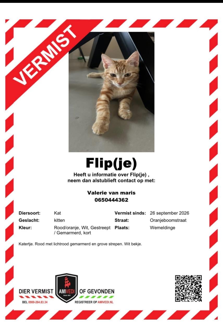 Flipje vermist