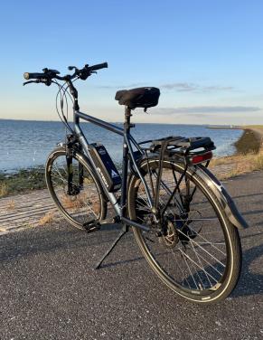 Custom build Pegasus e-bike.