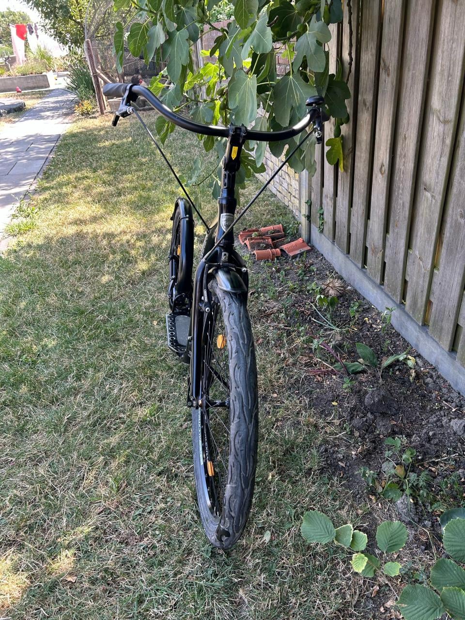 Kickbike cruise max step