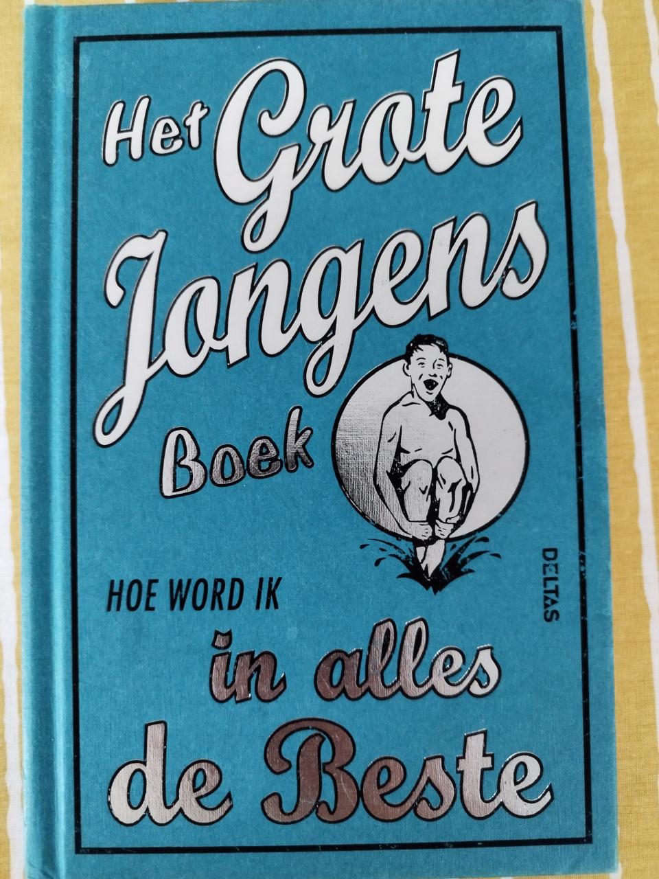 Het grote jongens boek