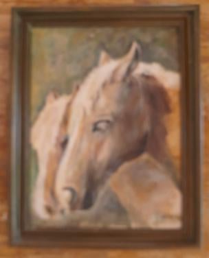 Paardenhoofden