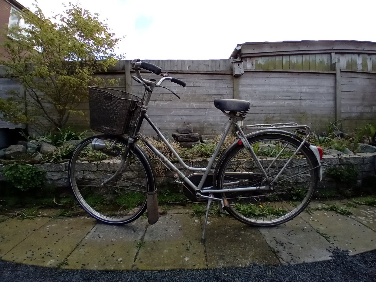 Gazelle studenten dames fiets
