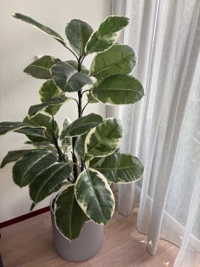 Grote kunststof plant