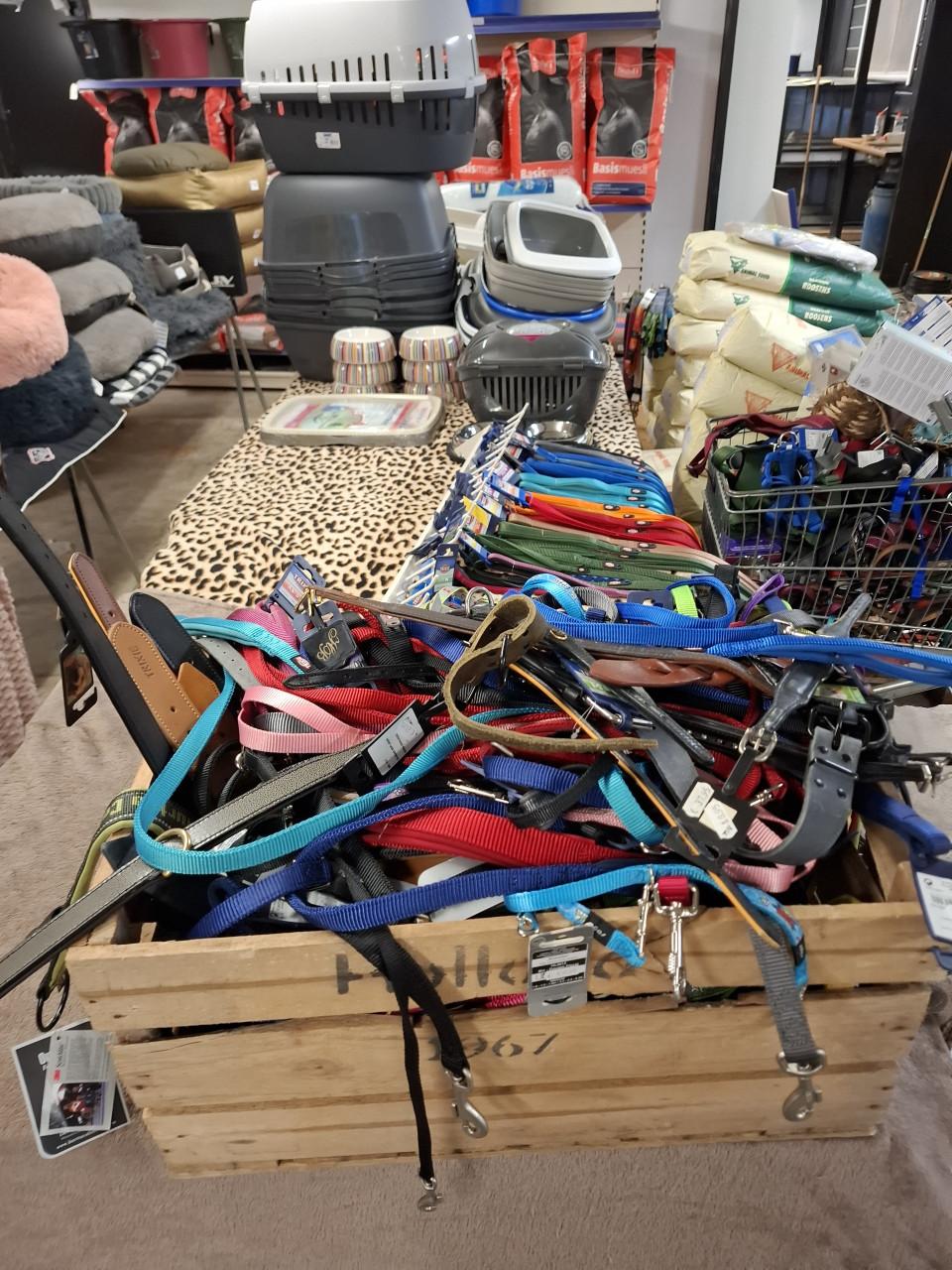 50% KORTING OP ALLE HONDENMANDEN, HONDENRIEMEN, TUIGJES ENZ