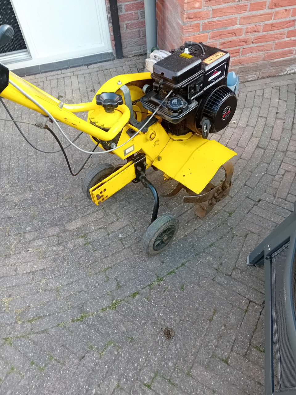 Tuinfrees