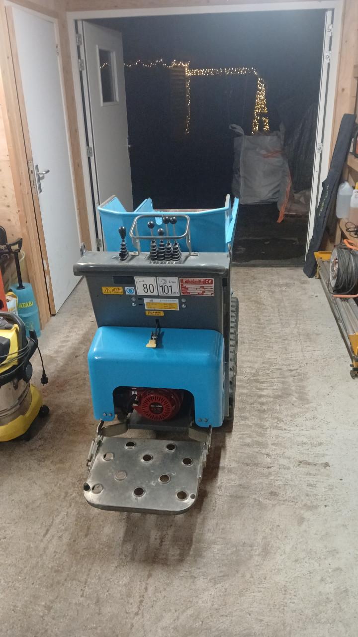 Rupsdumper messersi