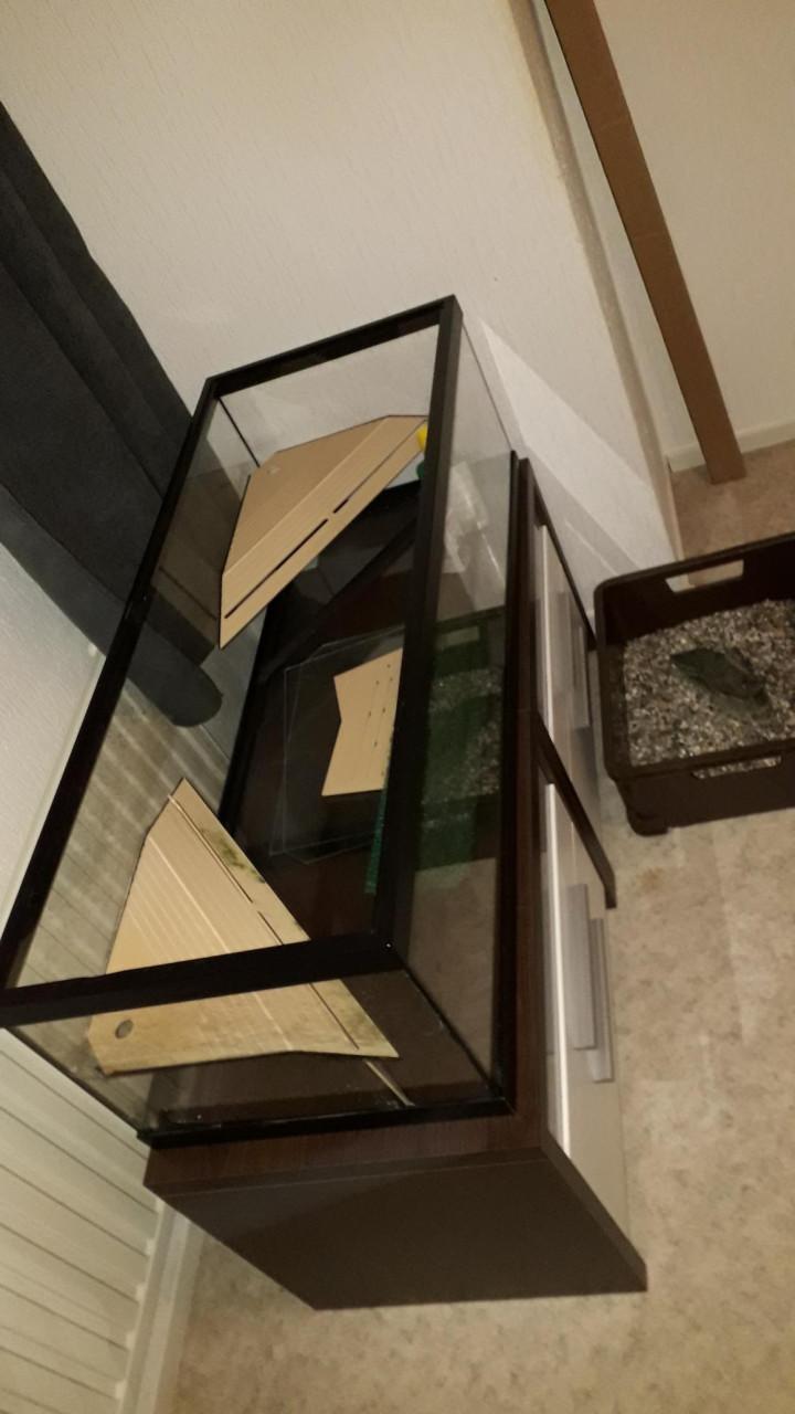 Aquarium voor schildpadden of vissen