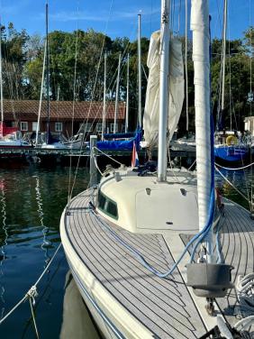 H boot  daysailer