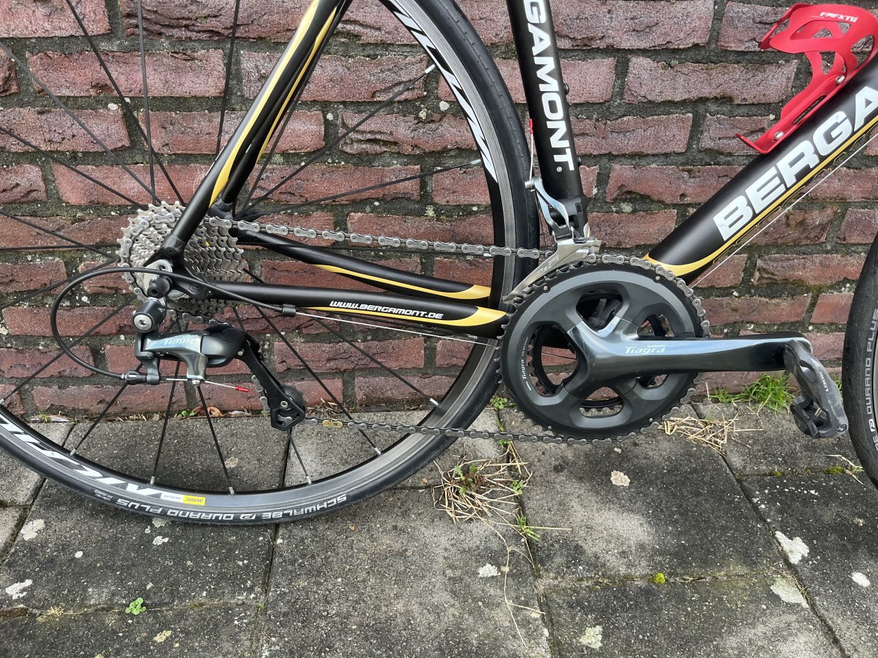 Bergamont Dolce 6.0 56 cm