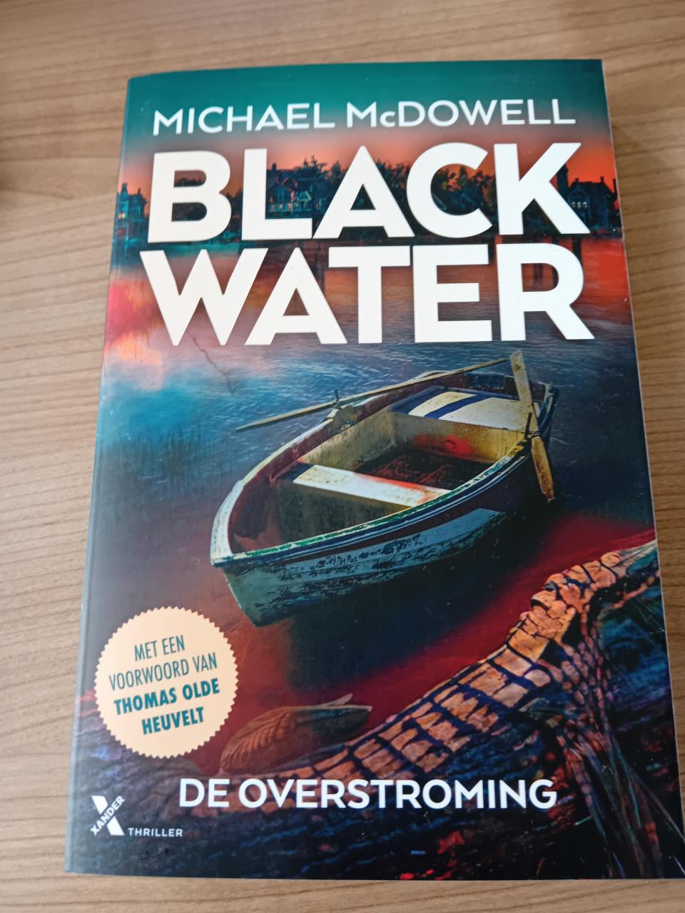 De overstroming- Michael McDowell