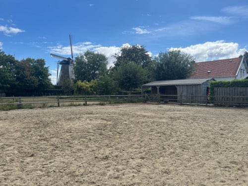 Stalling voor paard of pony incl. buitenbak