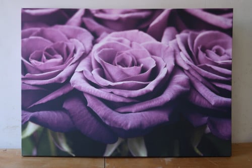 Schilderij met paarse rozen 100- X 70 cm. voor €5,00