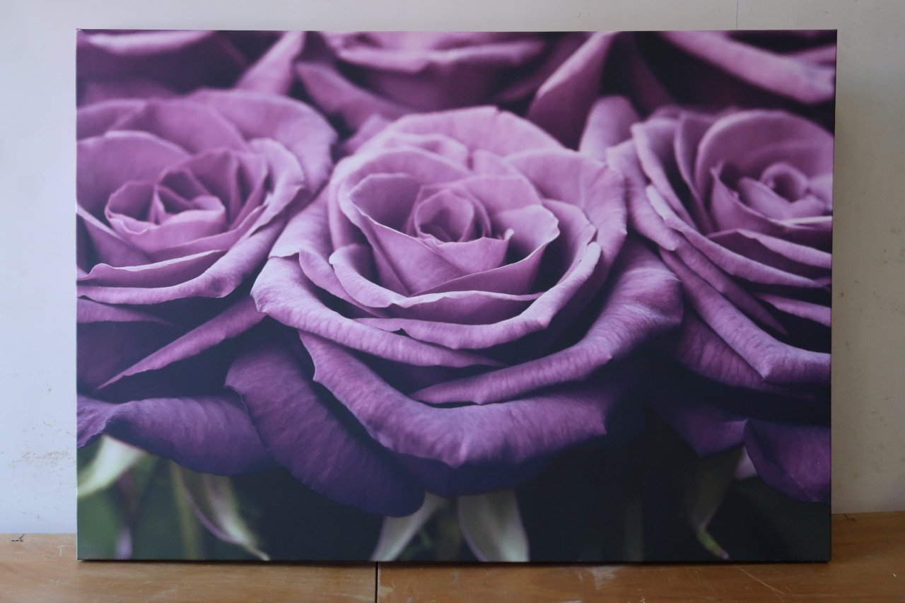Schilderij met paarse rozen 100- X 70 cm. voor €5,00