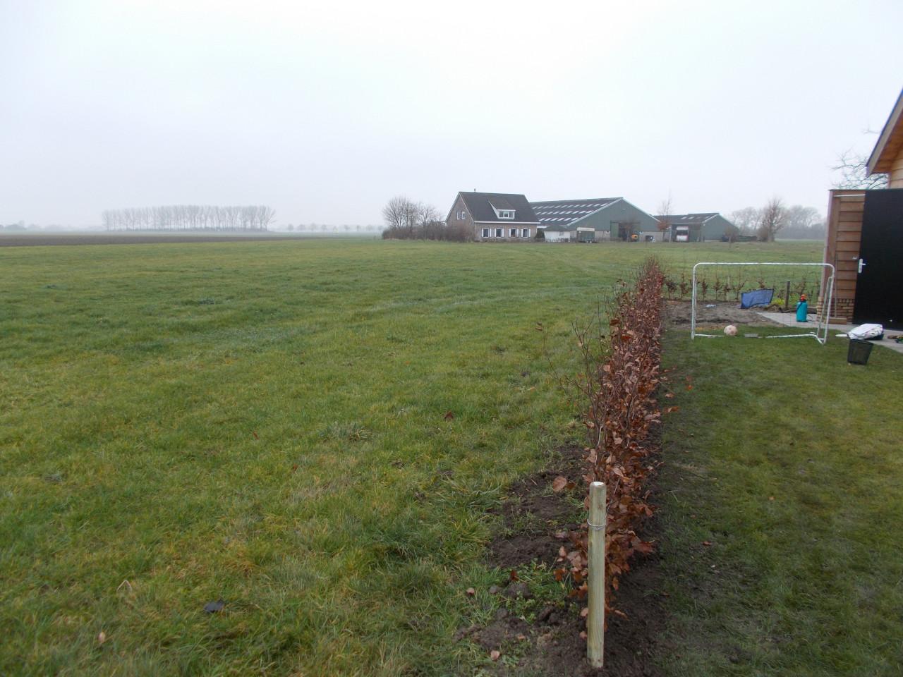 Zoekt u een betrouwbare Hovenier ?