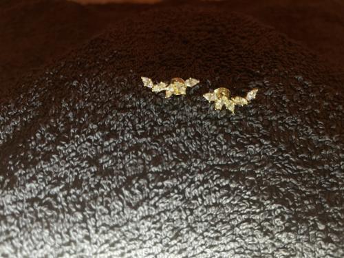 Nieuwe oorbellen/piercings