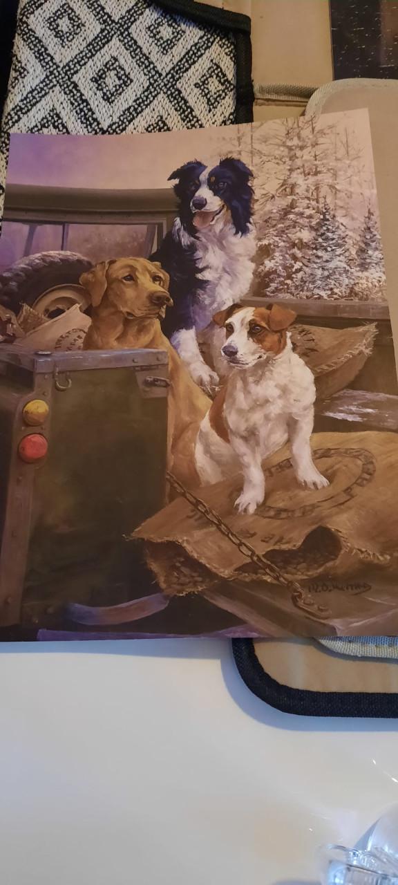 Leuke puzzel van 1000 stukjes