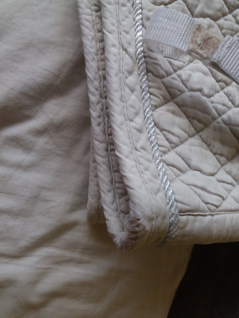 2 KNHS dekjes Full Dressuur