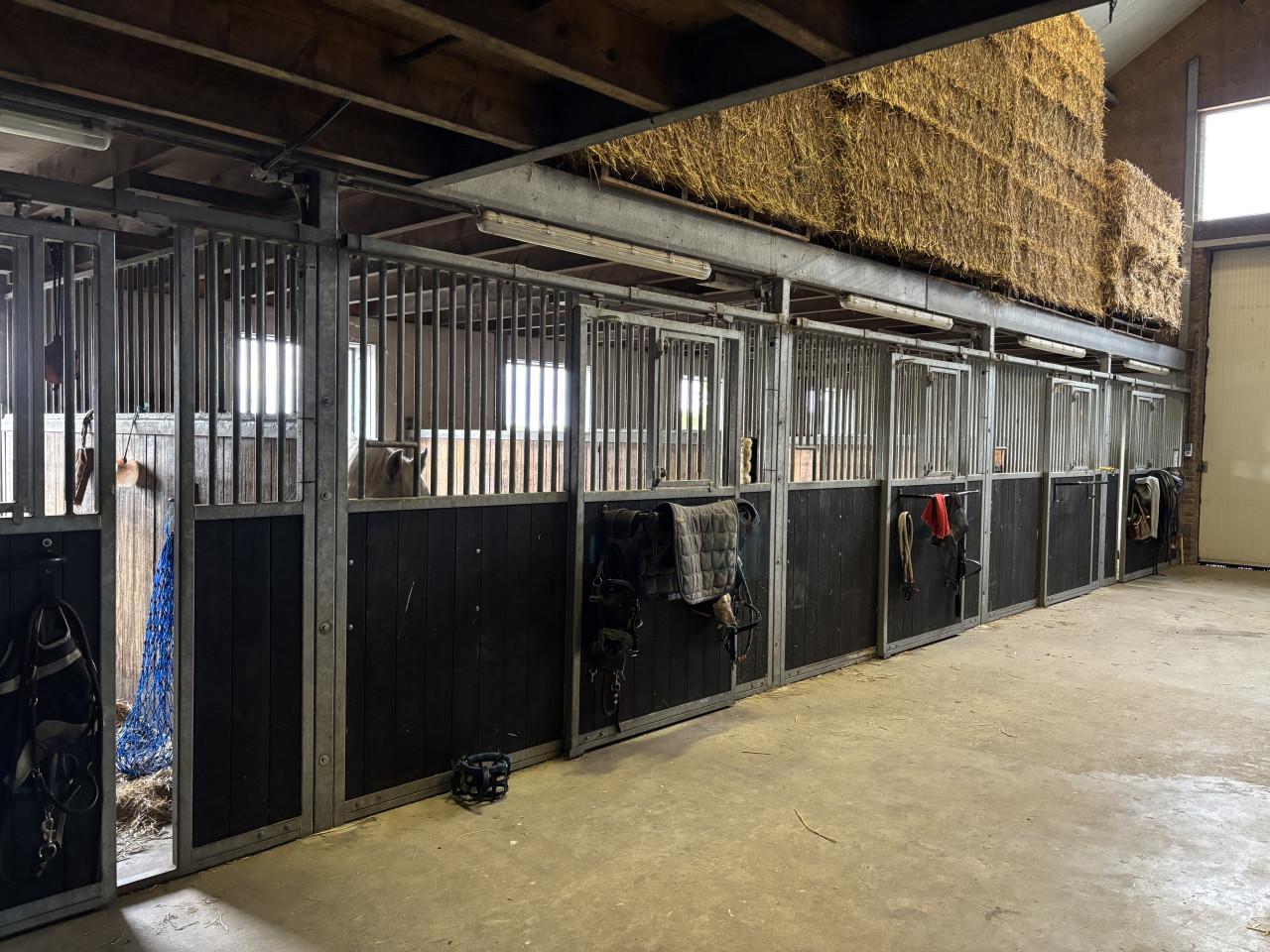 Box vrij op pensionstalling