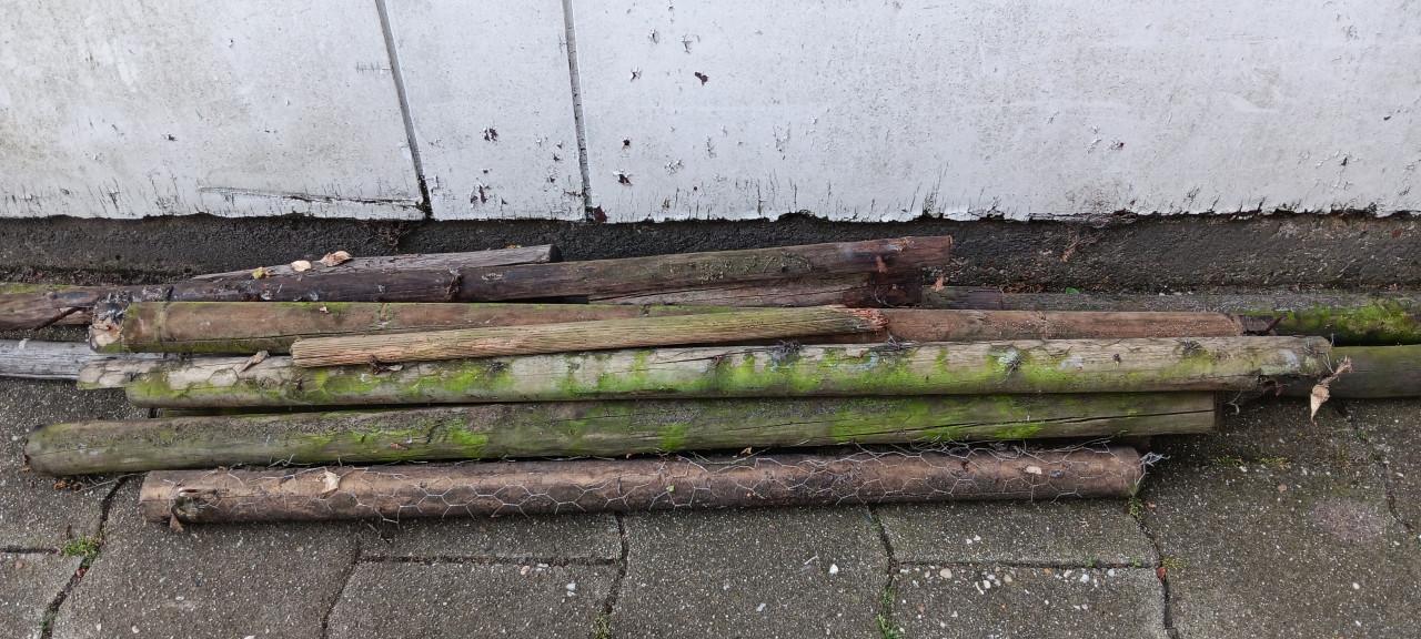 HOUTEN BALKJES cq PAALTJES