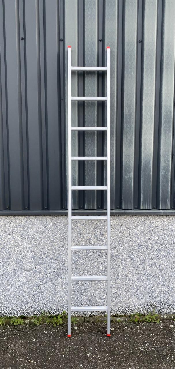 Ladders in diverse maten vanaf €25 NIEUW