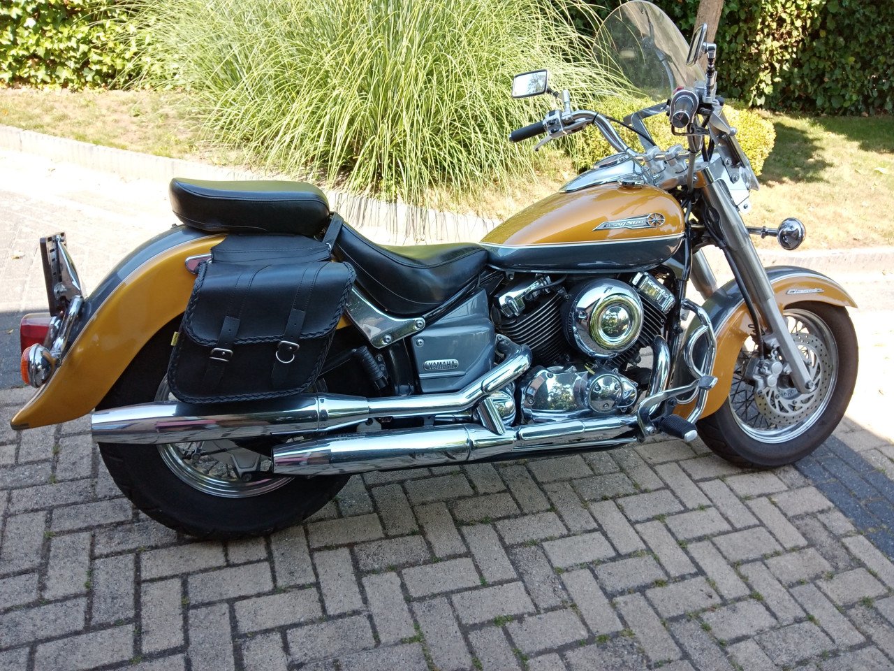 Motor