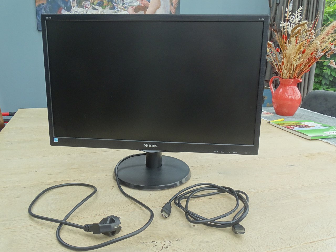 Computermonitor Philips 243V5L