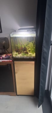 Aquarium 60L superfish