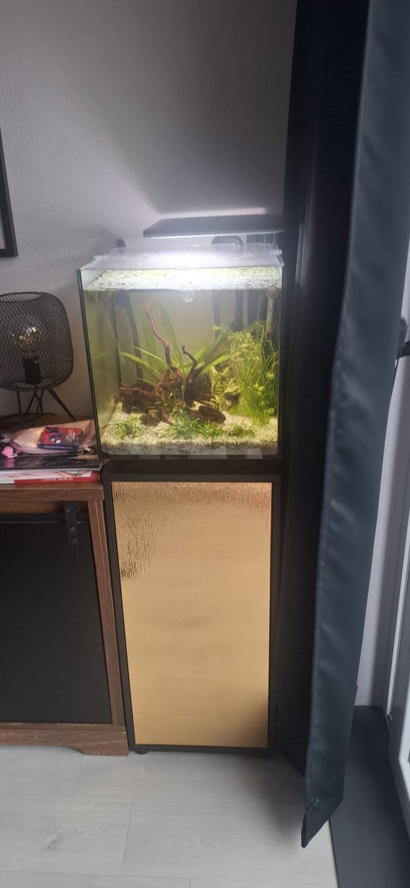 Aquarium 60L superfish