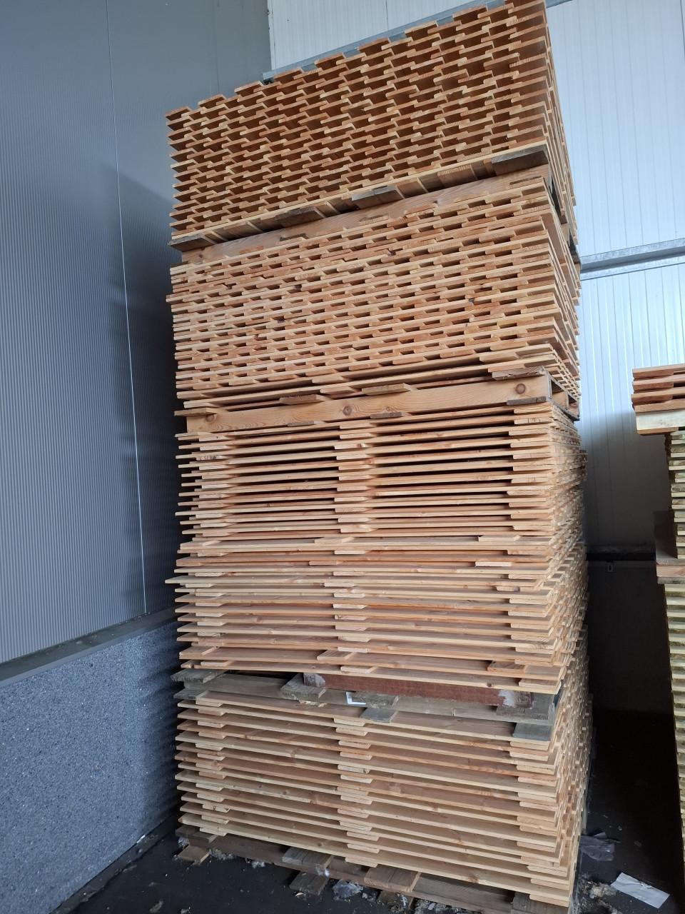 Douglas schermen - nieuw - 50 stuks
