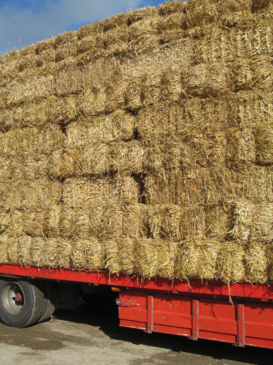 Graszaadhooi en stro