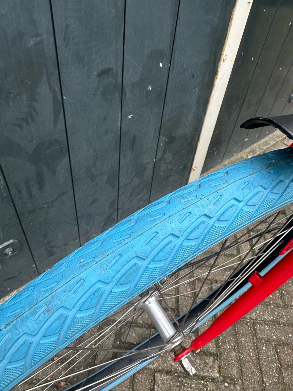 Batavus Personal Bike