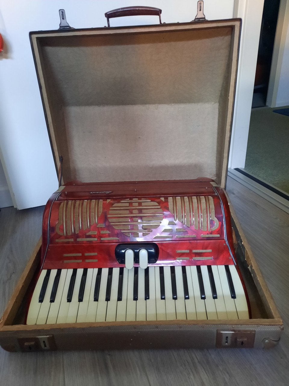 Accordeon merk soprani