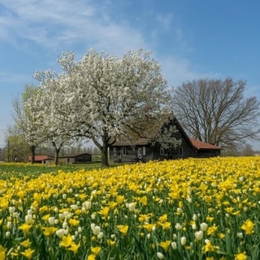 Woning gezocht in dorp of buitenaf