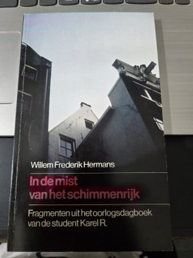 Boek: In de mist van het schimmenrijk - Willem Frederik Hermans