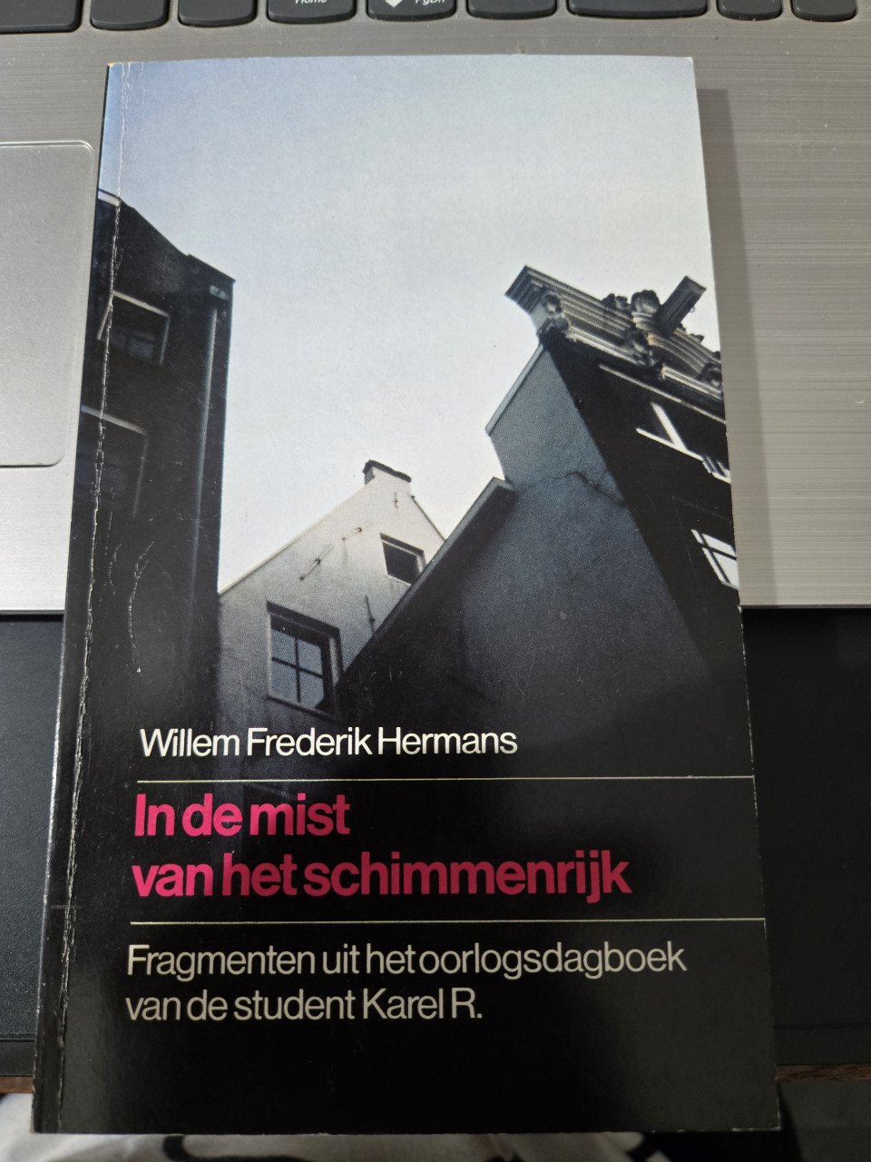 Boek: In de mist van het schimmenrijk - Willem Frederik Hermans
